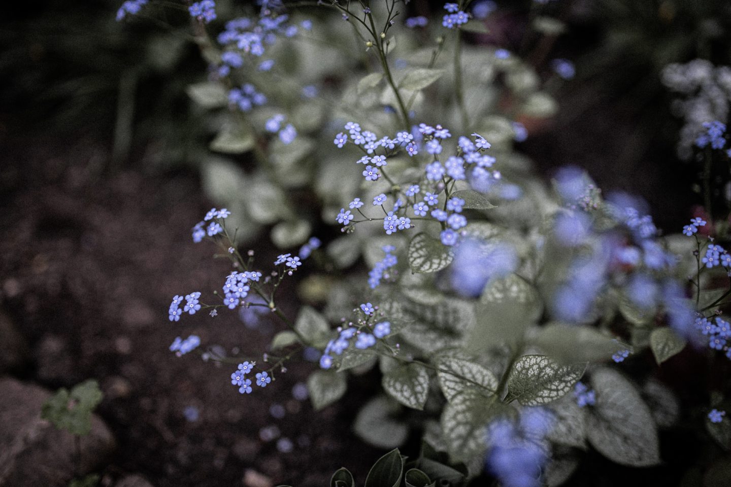 Photo by Corina Rainer on Unsplash