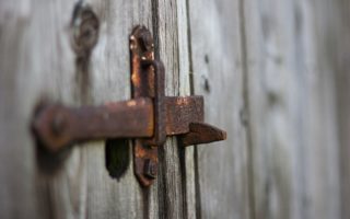 Photo by Richard Hemingway on Unsplash