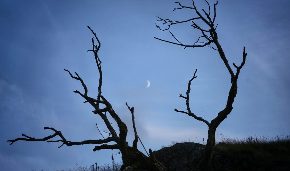 Photo by Tom Robertson on Unsplash