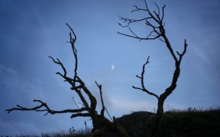 Photo by Tom Robertson on Unsplash