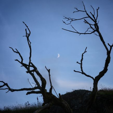 Photo by Tom Robertson on Unsplash