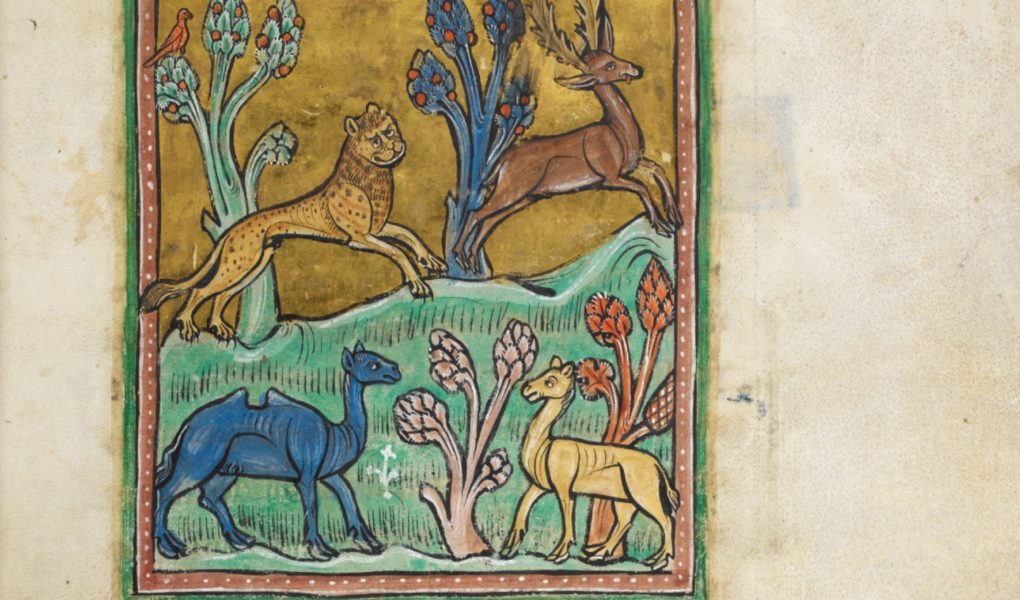 Le bestiaire : une façon de s'exprimer au Moyen Âge