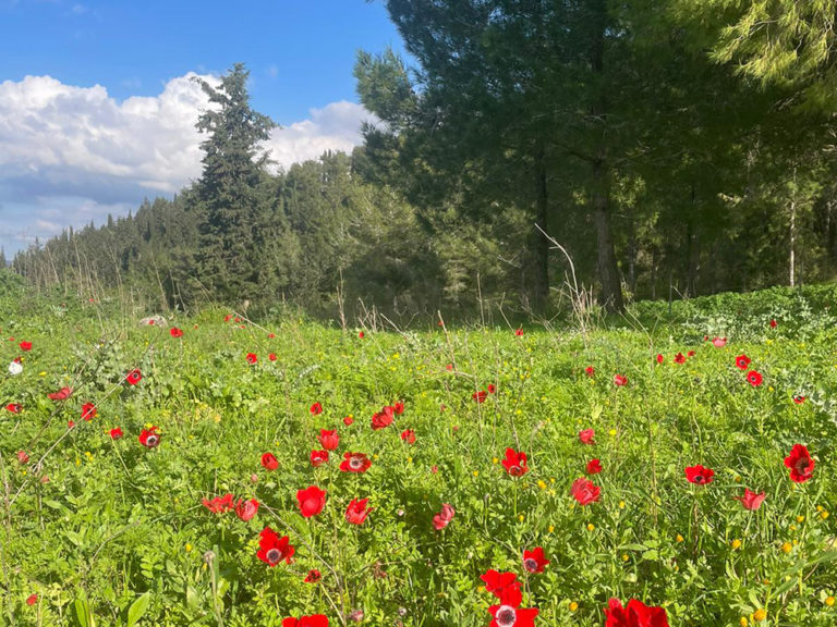 L'herbe n'est-elle pas bleue ?